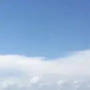 牛乳　プロフ必読の画像