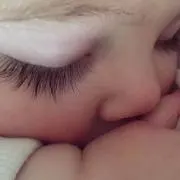ぷぅの画像