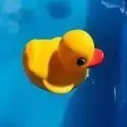 ミディアムレアの画像