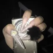 ぽむぽむぷりんの画像