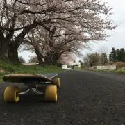 パンだ君