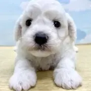 k.iの画像