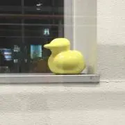はぬP