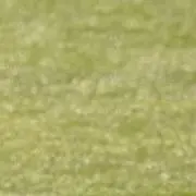 Eの画像