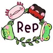 Rep☆コレクション整理中の画像