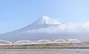 かつの画像