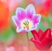y353kの画像