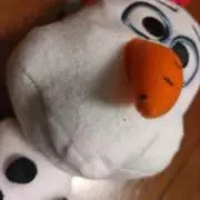 ゆきの画像