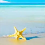 milkkkkyの画像