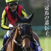 ジェンティルドンナの画像
