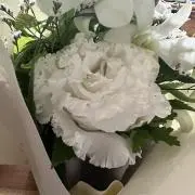 ミルク