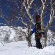 nakの画像