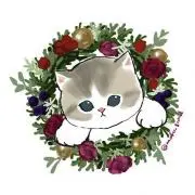 めがねの画像