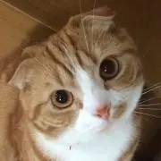 のり太郎