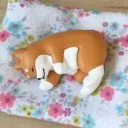 たりの画像