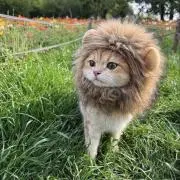 ウリ坊の画像