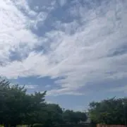 mの画像