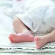 Y4の画像