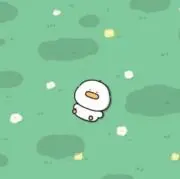 cocoの画像