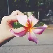 Yuの画像