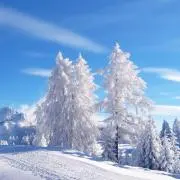 Hiroの画像