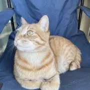 おもち　プロフご一読下さい☆の画像
