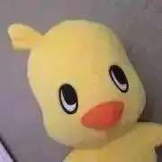 ぴんく花の画像
