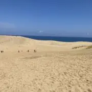 mkの画像