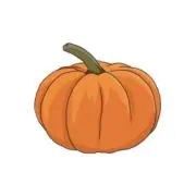かぼちゃの画像