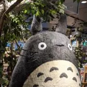 とひあなの画像
