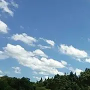 かえるこ