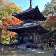 断捨離、実行中の画像