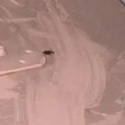 愛の画像