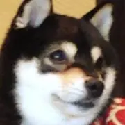 ririの画像