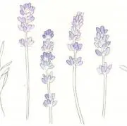 ♡の画像