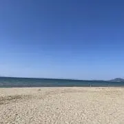 もちこの画像