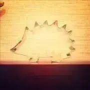 noraの画像