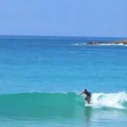 sh☆g☆