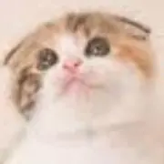 まめの画像