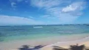 りーばーばの画像