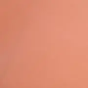 さくらの画像