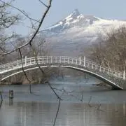 ままるの画像