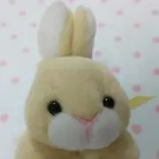 みりぃの画像