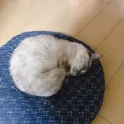 みちゃ