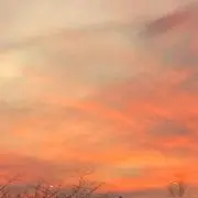 pii.の画像