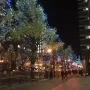 ココ♡の画像