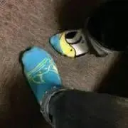 たけの画像