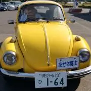 むぎこの画像