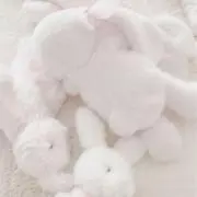 nyuの画像