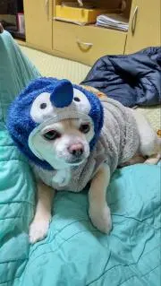 けんじ
